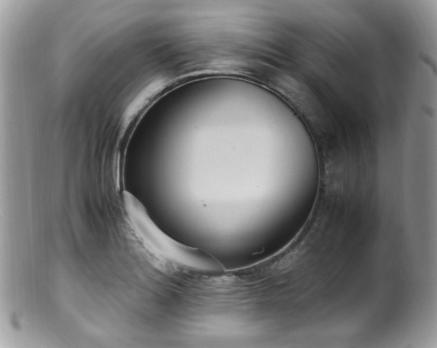 X0000099401180200805151658