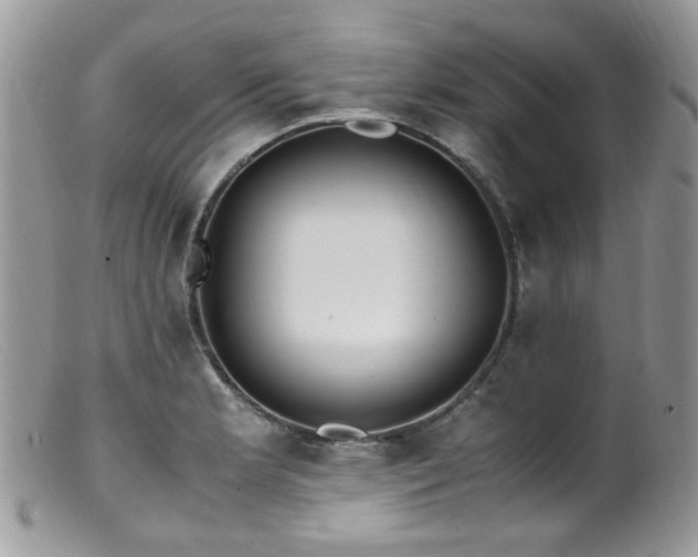 X0000099401181200805151658