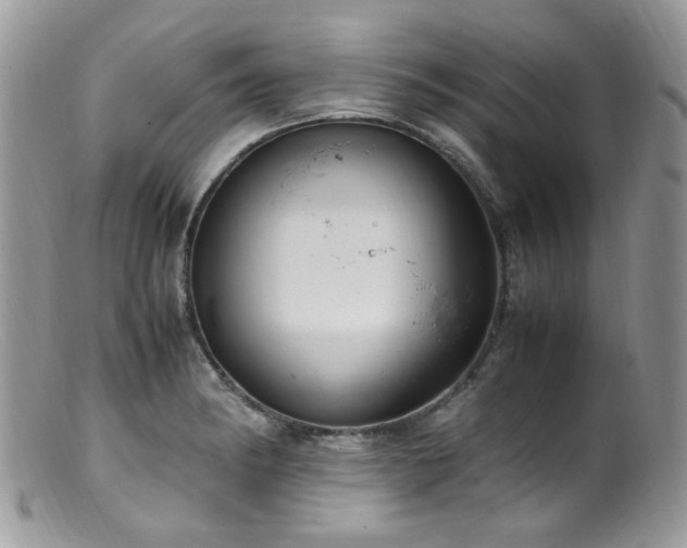 X0000099401182200805151658