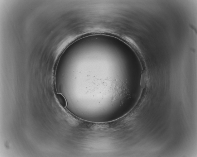 X0000099401183200805151658