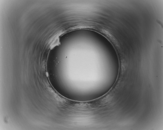 X0000099401185200805151658