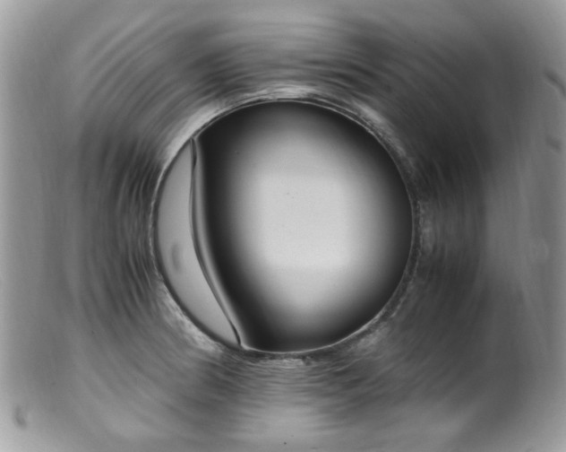 X0000099401186200805151658