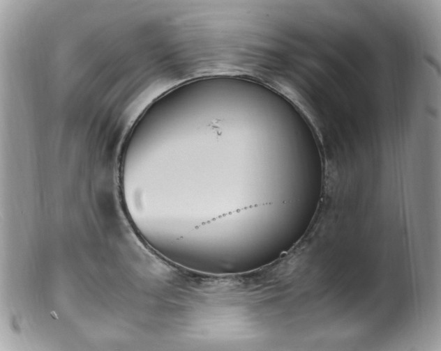 X0000099401187200805151658