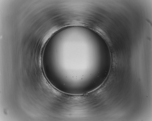 X0000099401188200805151658