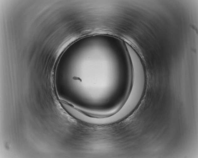 X0000099401190200805151658