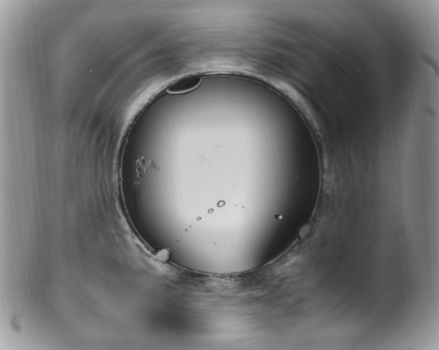 X0000099401191200805151658