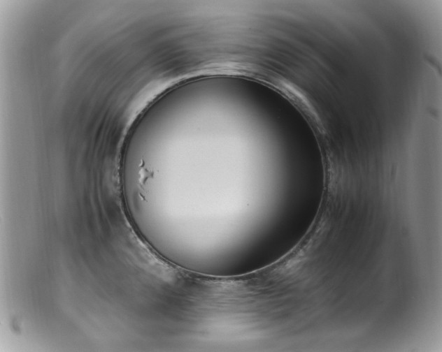 X0000099401192200805151658