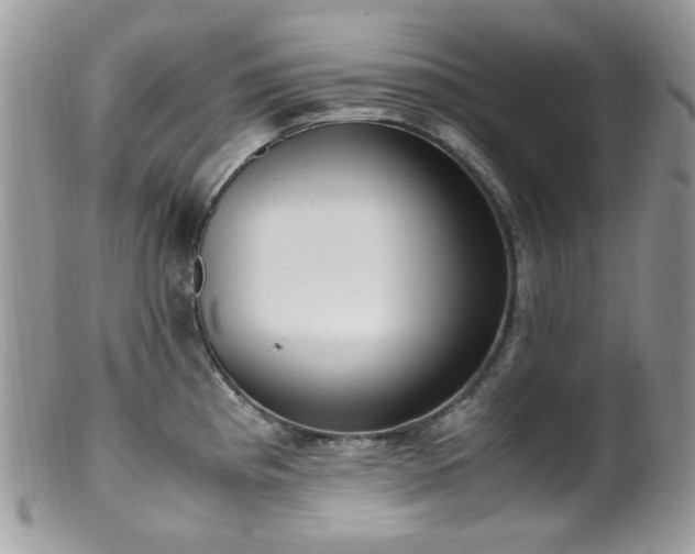 X0000099401193200805151658