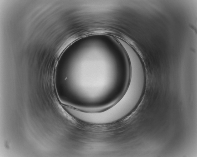 X0000099401194200805151658