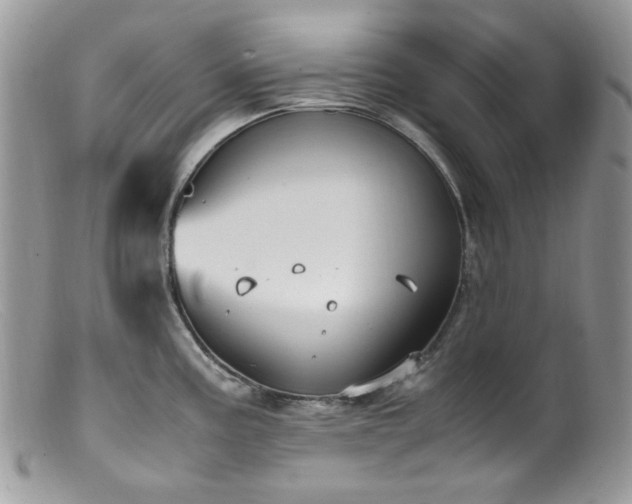 X0000099401195200805151658