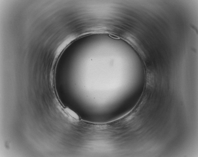 X0000099401196200805151658