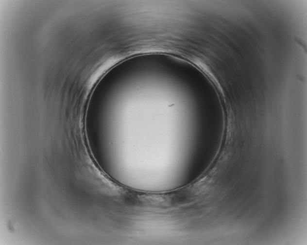 X0000099401197200805151658