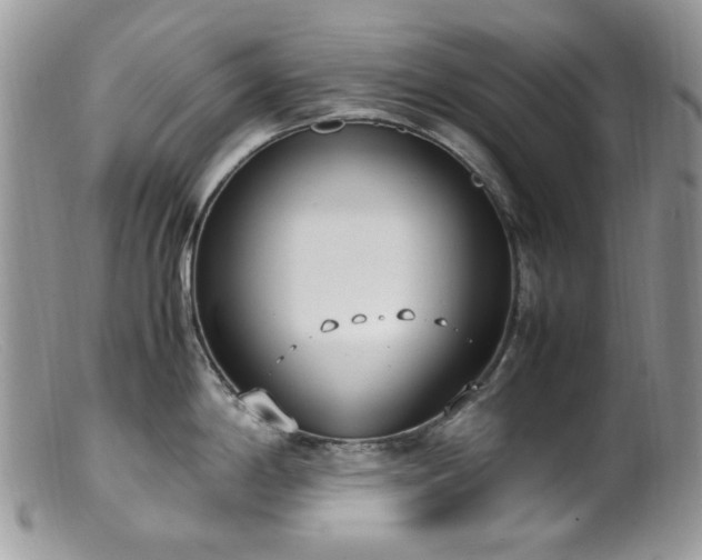 X0000099401198200805151658