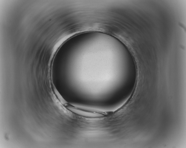 X0000099401200200805151658