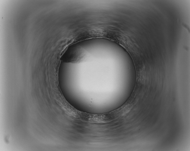 X0000099401201200805151657