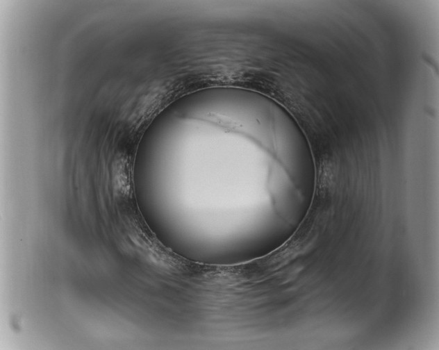 X0000099401202200805151657