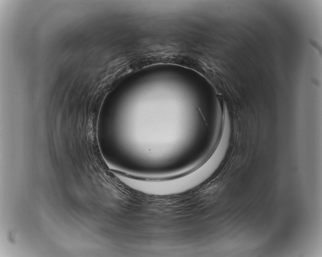 X0000099401203200805151657