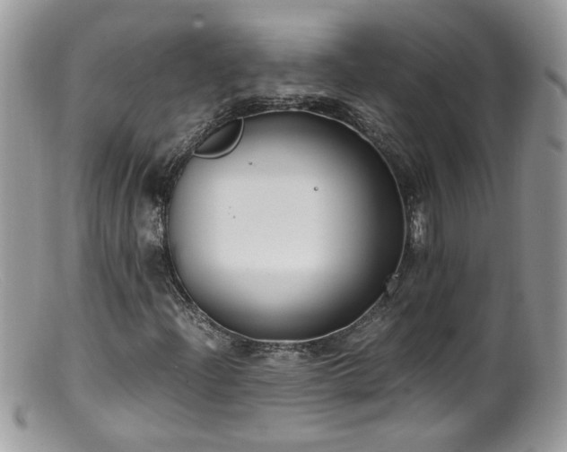 X0000099401204200805151657