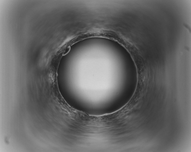 X0000099401206200805151657