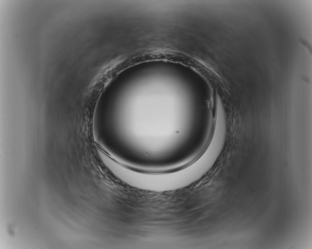 X0000099401207200805151657