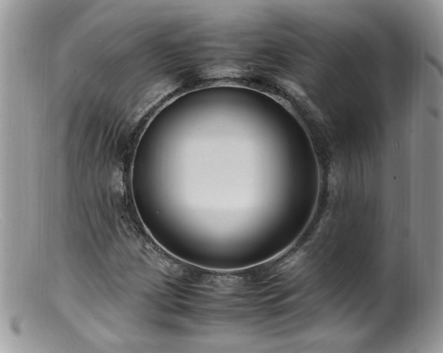 X0000099401209200805151657