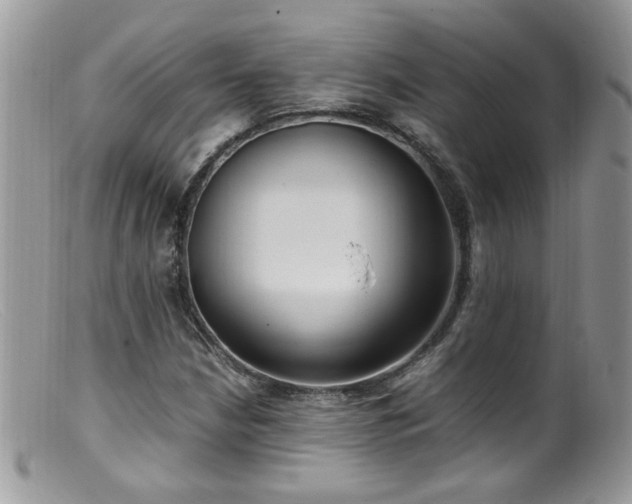 X0000099401210200805151657