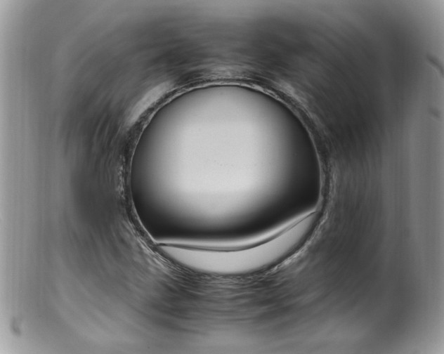 X0000099401211200805151657