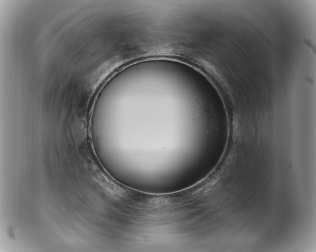 X0000099401212200805151657