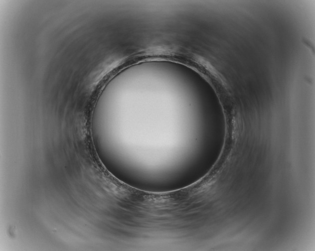 X0000099401213200805151658