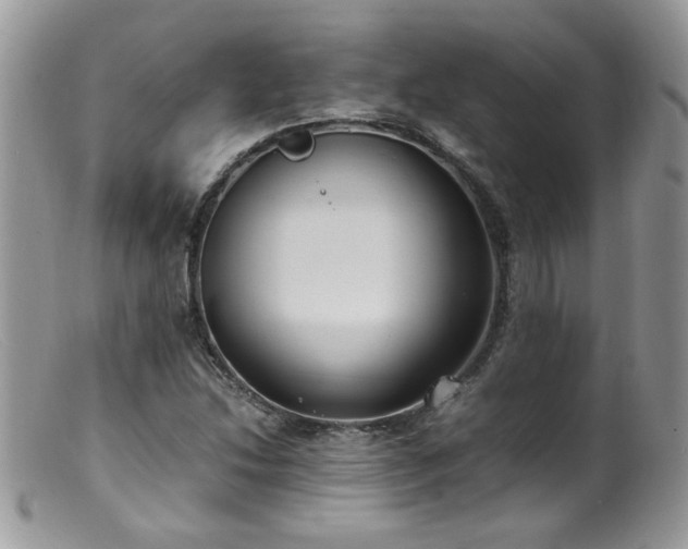 X0000099401214200805151658