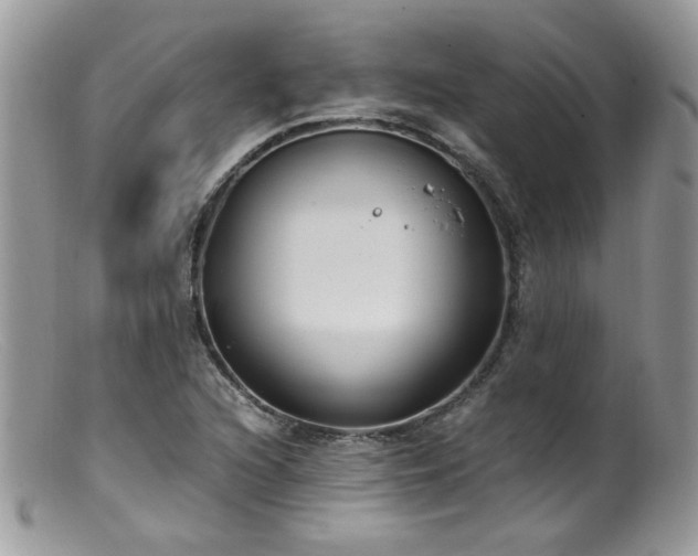 X0000099401216200805151658