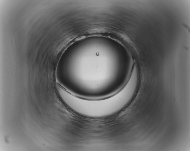 X0000099401217200805151658