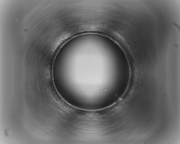 X0000099401218200805151658