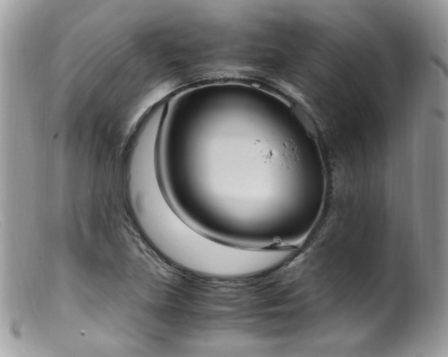 X0000099401219200805151658