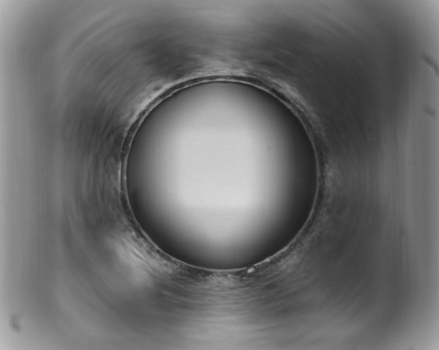 X0000099401220200805151658