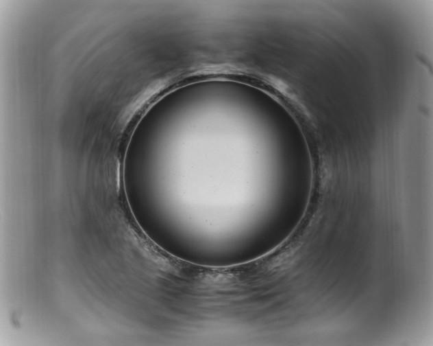 X0000099401221200805151658