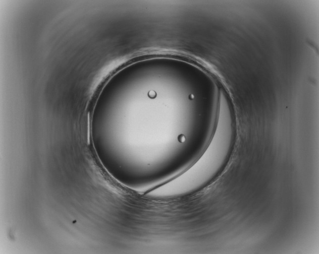 X0000099401223200805151658