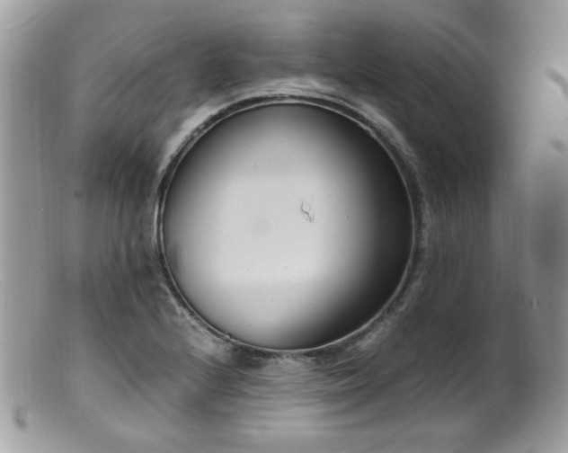 X0000099401224200805151658