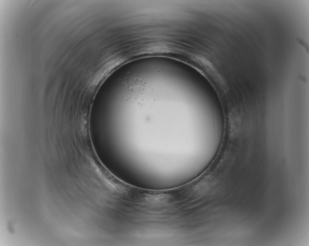 X0000099401225200805151658