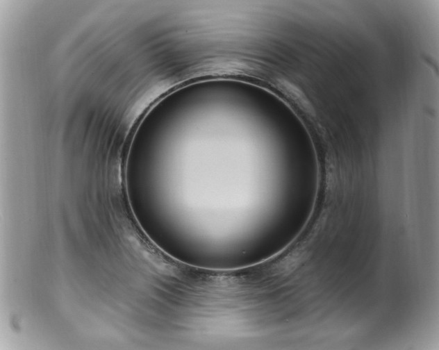 X0000099401226200805151658