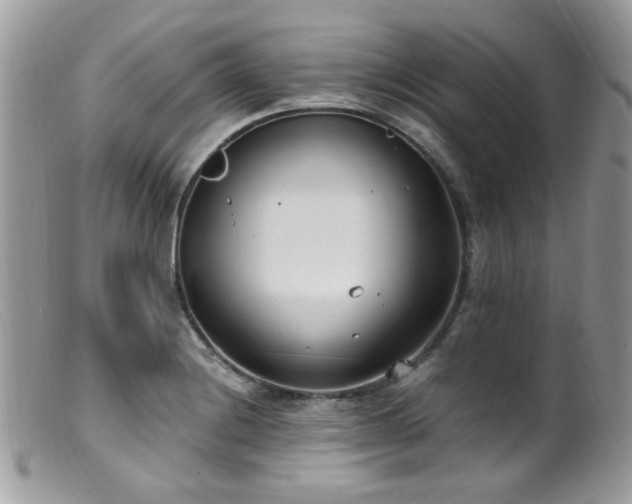 X0000099401228200805151658