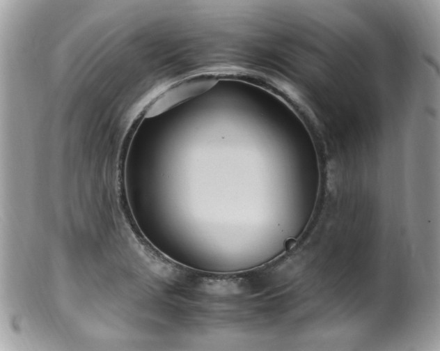 X0000099401229200805151658