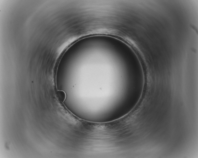 X0000099401230200805151658