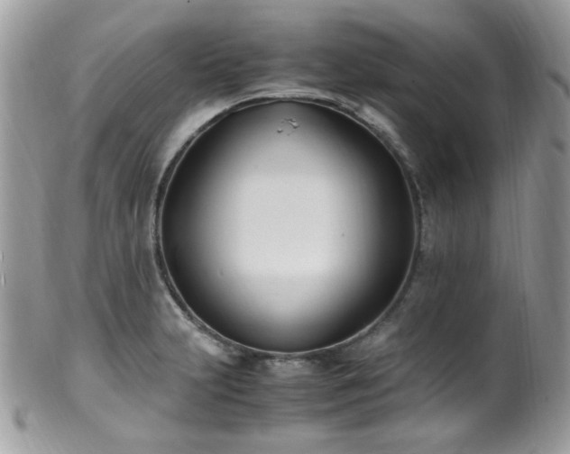 X0000099401231200805151658