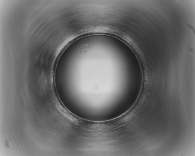 X0000099401232200805151658