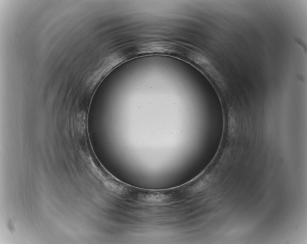 X0000099401233200805151658