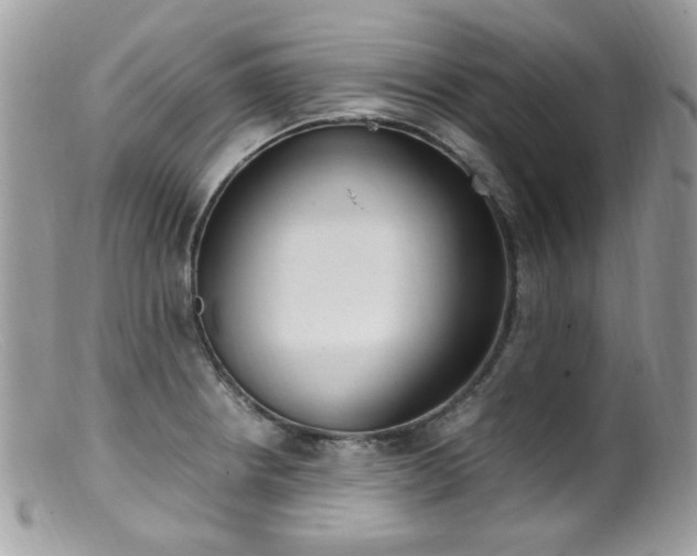 X0000099401234200805151658