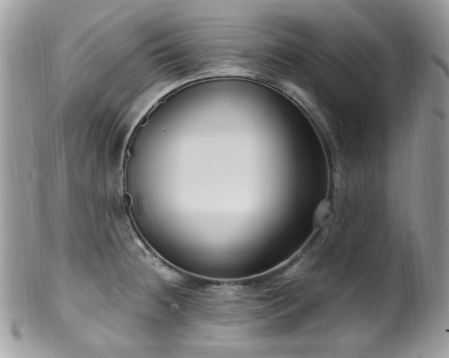 X0000099401236200805151658