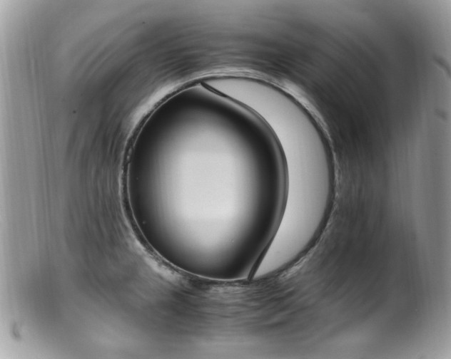 X0000099401237200805151658