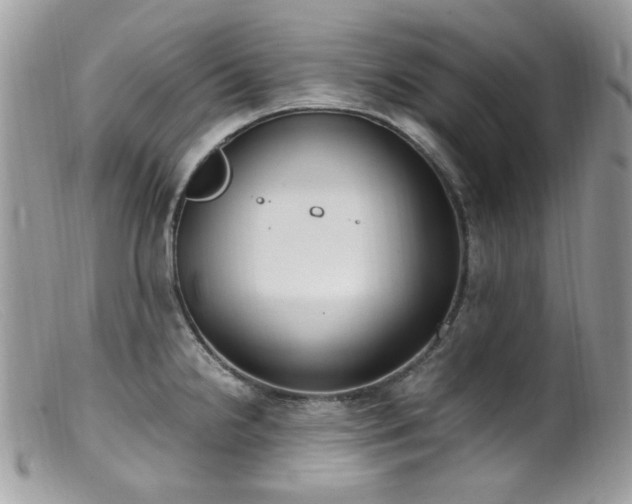 X0000099401238200805151658